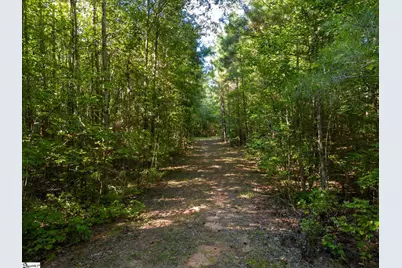 737 Burnt Mill Creek Road, Mountville, SC 29370 - Photo 17