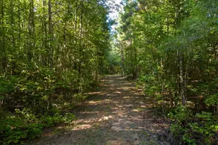 737 Burnt Mill Creek Rd, Mountville, SC 29370 - Photo 17