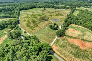 313 Henderson Rd, Gray Court, SC 29645 - Photo 45