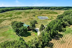 313 Henderson Rd, Gray Court, SC 29645 - Photo 49