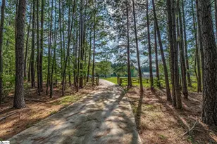 842 Dunklin Bridge Rd, Fountain Inn, SC 29644 - Photo 3