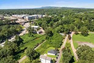 7 Railroad St, Greenville, SC 29607 - Photo 37