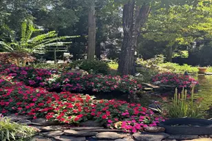 102 Lex Ct, Greer, SC 29651 - Photo 43