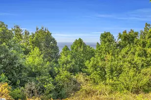 3605 Skyuka Mountain Rd, Columbus, NC 28722 - Photo 29