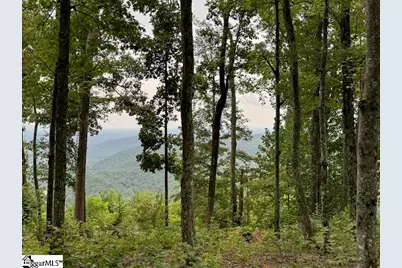 1534 Panther Park Trail, Travelers Rest, SC 29690 - Photo 1