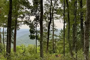 1534 Panther Park Trail, Travelers Rest, SC 29690 - Photo 1