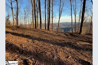 1531 Panther Park Trail, Travelers Rest, SC 29690 - Photo 3