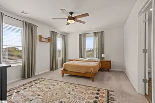 106 White Rapids Way, Greenville, SC 29617 - Photo 19