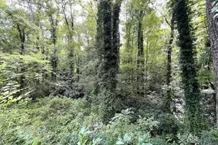 306 Rocky Bottom Rd, Sunset, SC 29685 - Photo 15