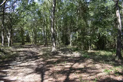 0 Lyman Lodge Road, Lyman, SC 29365 - Photo 15