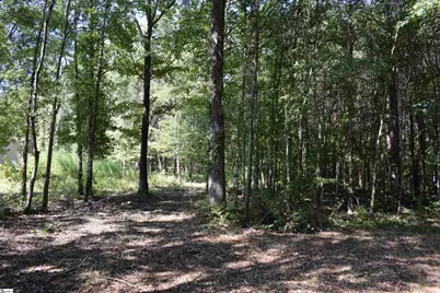 0 Lyman Lodge Road, Lyman, SC 29365 - Photo 5