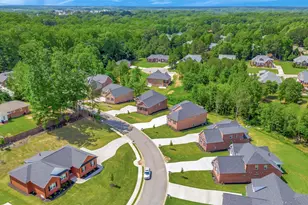 118 Bonaire Point, Anderson, SC 29621 - Photo 41