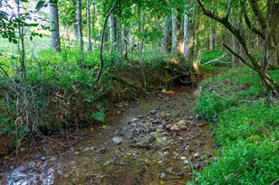 225 Meadow Brook Ln, Pickens, SC 29671 - Photo 47