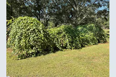 109 Woods Drive, Williamston, SC 29697 - Photo 9