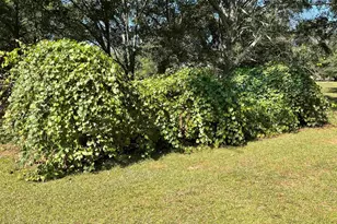 109 Woods Dr, Williamston, SC 29697 - Photo 9