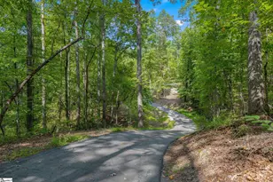 595 Morris Ln, West Union, SC 29696 - Photo 5