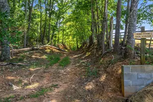 1050 Hunting Country Rd, Tryon, NC 28782 - Photo 33