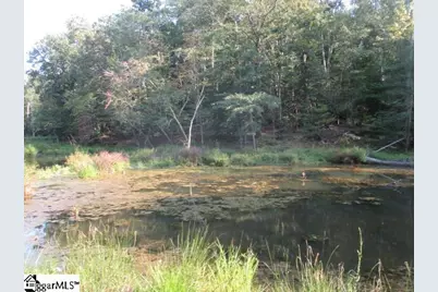 1905 McKelvey Road, Fountain Inn, SC 29644 - Photo 3