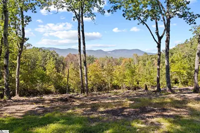 4518 Hawkins Road, Greer, SC 29651 - Photo 3