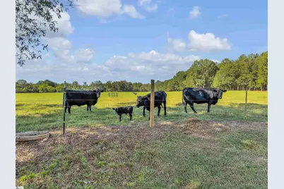 924 Jordan Road, Troy, SC 29848 - Photo 31