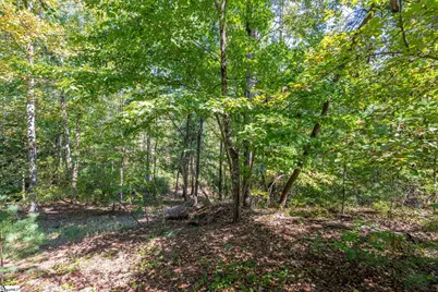 407 Clearwater Cove, Salem, SC 29676 - Photo 5