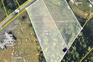 00 S Hwy 101, Gray Court, SC 29645 - Photo 1