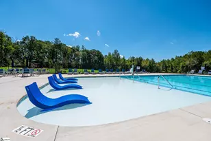 217 Tantalus St, Gray Court, SC 29645 - Photo 35