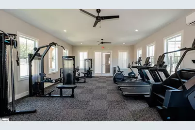 217 Tantalus Street, Gray Court, SC 29645 - Photo 33