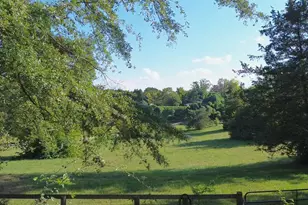 700 N Trade Ave, Landrum, SC 29356 - Photo 49