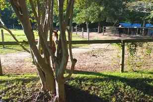 700 N Trade Ave, Landrum, SC 29356 - Photo 37