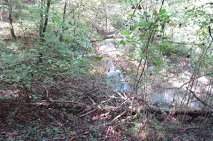 740 Sliding Rock Rd, Pickens, SC 29671 - Photo 27