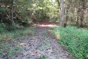 740 Sliding Rock Rd, Pickens, SC 29671 - Photo 27