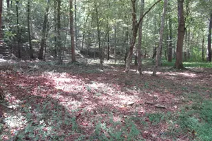 740 Sliding Rock Rd, Pickens, SC 29671 - Photo 35