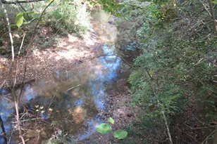 740 Sliding Rock Rd, Pickens, SC 29671 - Photo 31