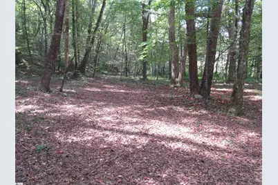 740 Sliding Rock Road, Pickens, SC 29671 - Photo 33