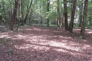 740 Sliding Rock Rd, Pickens, SC 29671 - Photo 33