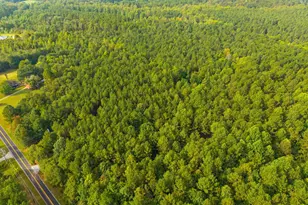 650 Mc Dowell Rd, Columbus, NC 28722 - Photo 49