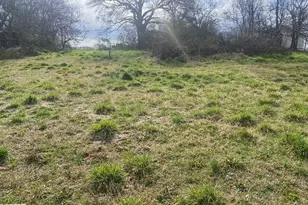 207 Summeral St, Clinton, SC 29325 - Photo 1