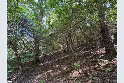 00 Whitewater Lake Road, Salem, SC 29686 - Photo 5