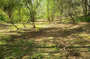 10938 Reidville Rd, Greer, SC 29651 - Photo 47