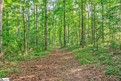 1733 Tigerville Road, Travelers Rest, SC 29690 - Photo 27