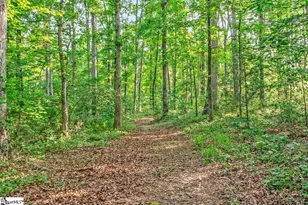 1733 Tigerville Rd, Travelers Rest, SC 29690 - Photo 27