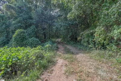 00 Jones Circle, Pickens, SC 29671 - Photo 7