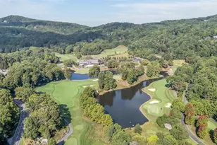 7 Goldeneye Ct, Landrum, SC 29356 - Photo 43