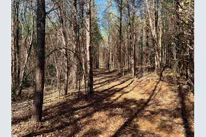 Old Dunham Bridge Road, Greenville, SC 29611 - Photo 7