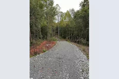 Old Dunham Bridge Road, Greenville, SC 29611 - Photo 3