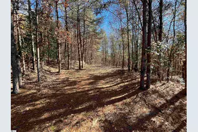 Old Dunham Bridge Road, Greenville, SC 29611 - Photo 5