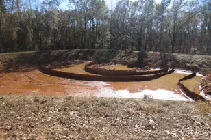 141 Rickys Path, Easley, SC 29642 - Photo 47