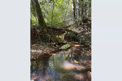 249 Cedar Hill Road, Six Mile, SC 29682 - Photo 41