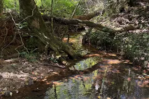 249 Cedar Hill Rd, Six Mile, SC 29682 - Photo 41